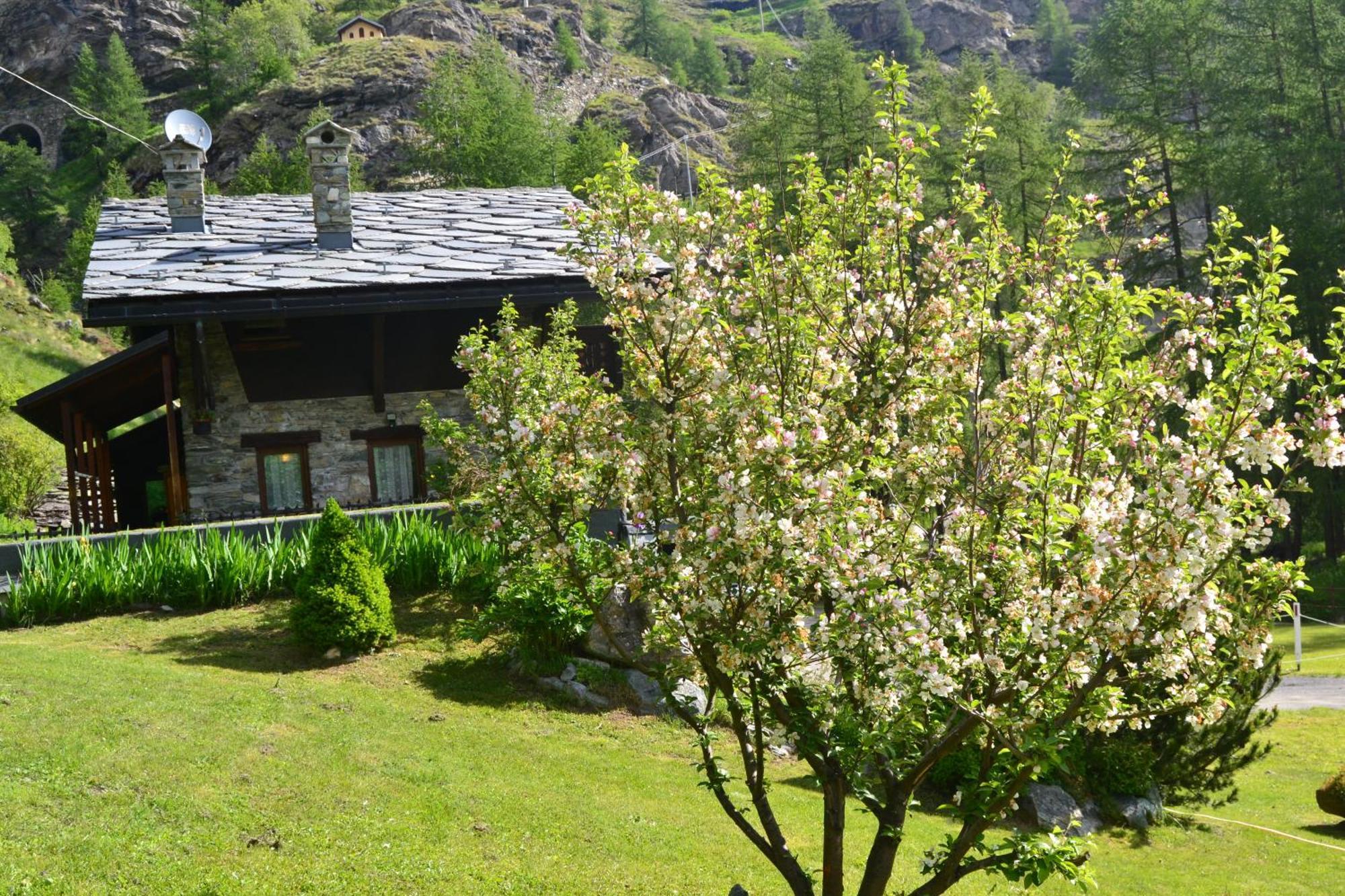 Chalet La Garde Valtournenche Luaran gambar